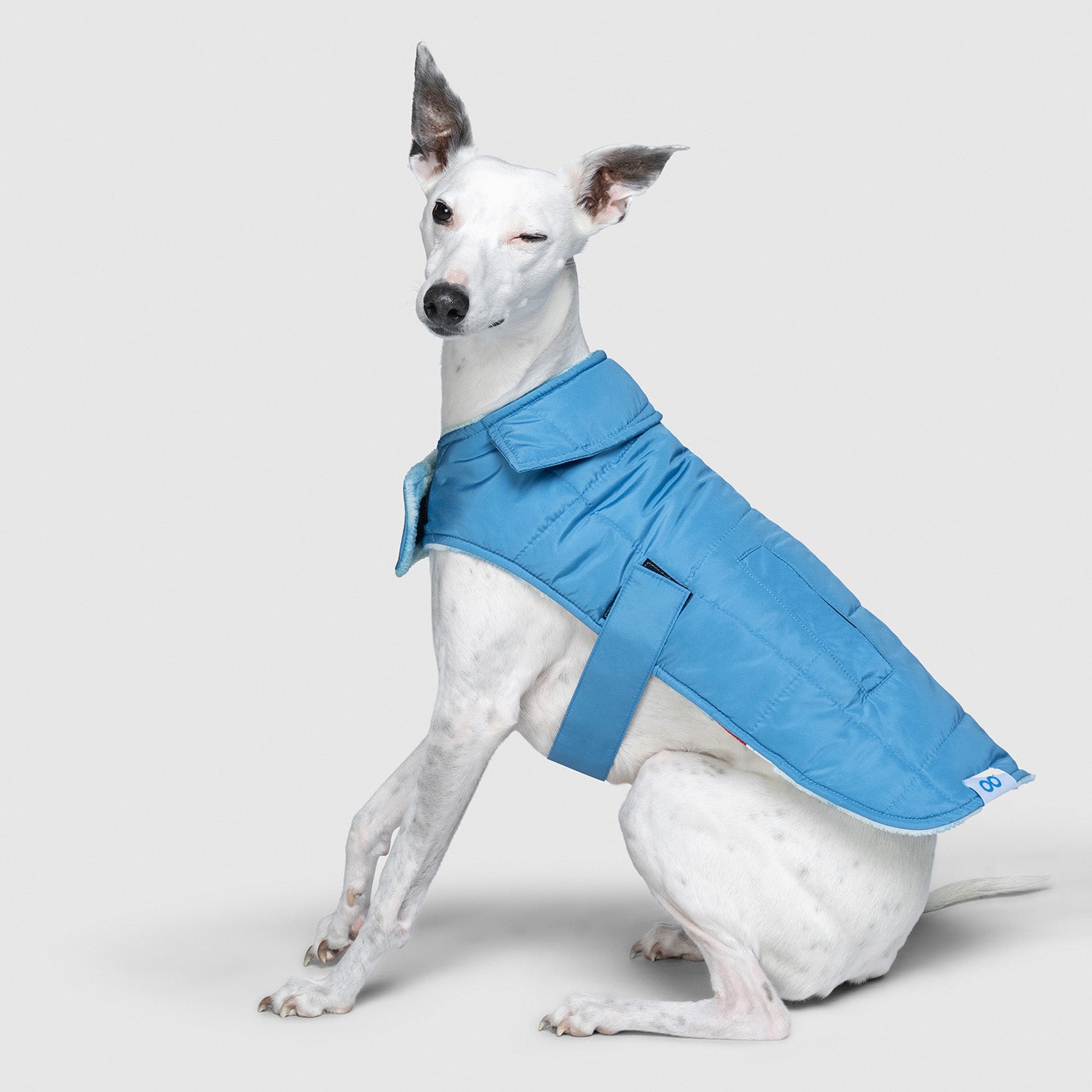 Blue Checkerboard Secondary image