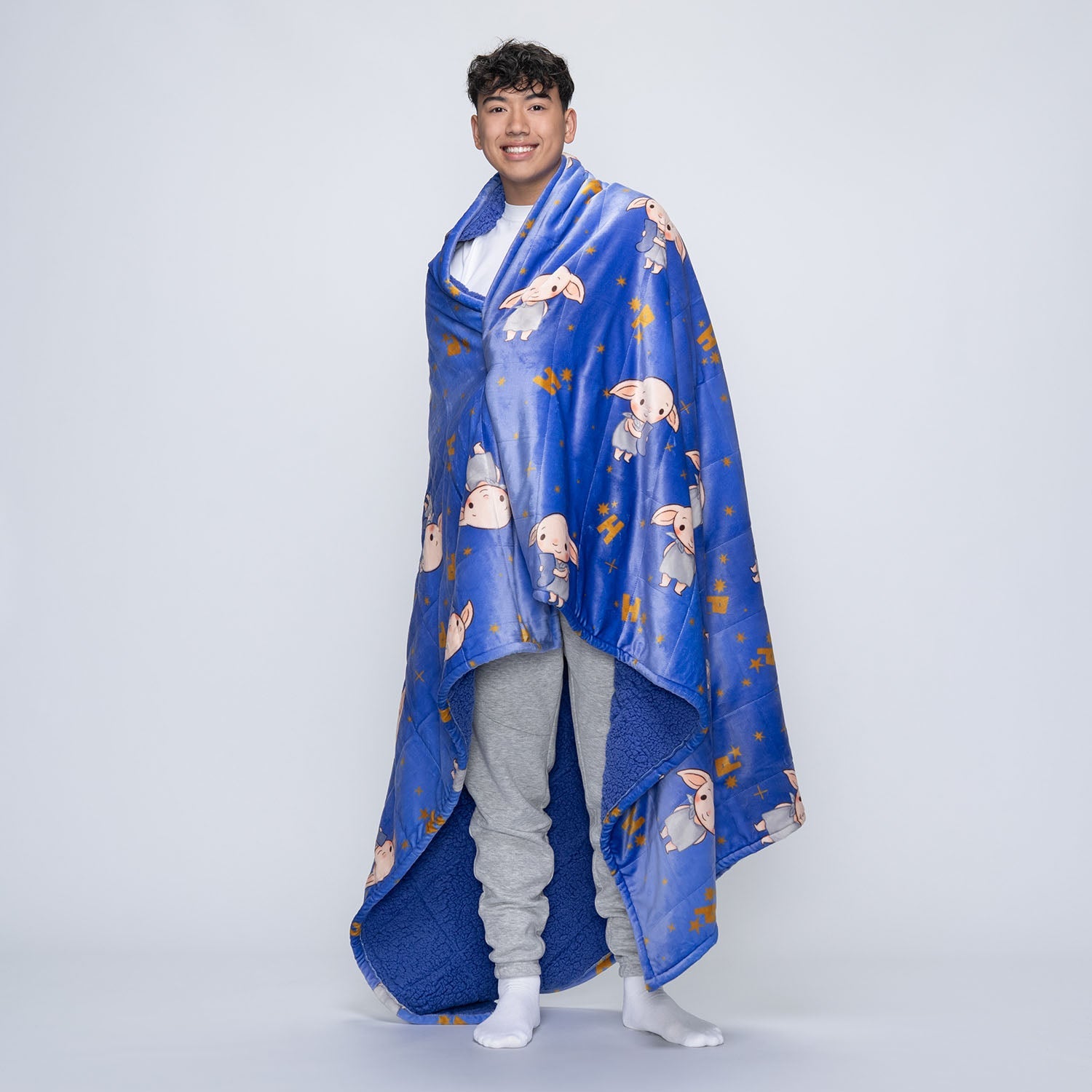 Harry Potter Dobby Secondary image