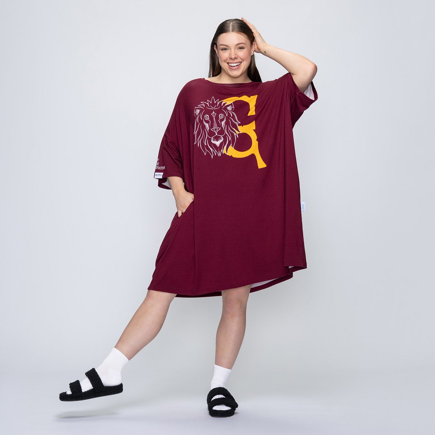 Harry Potter Gryffindor Main image