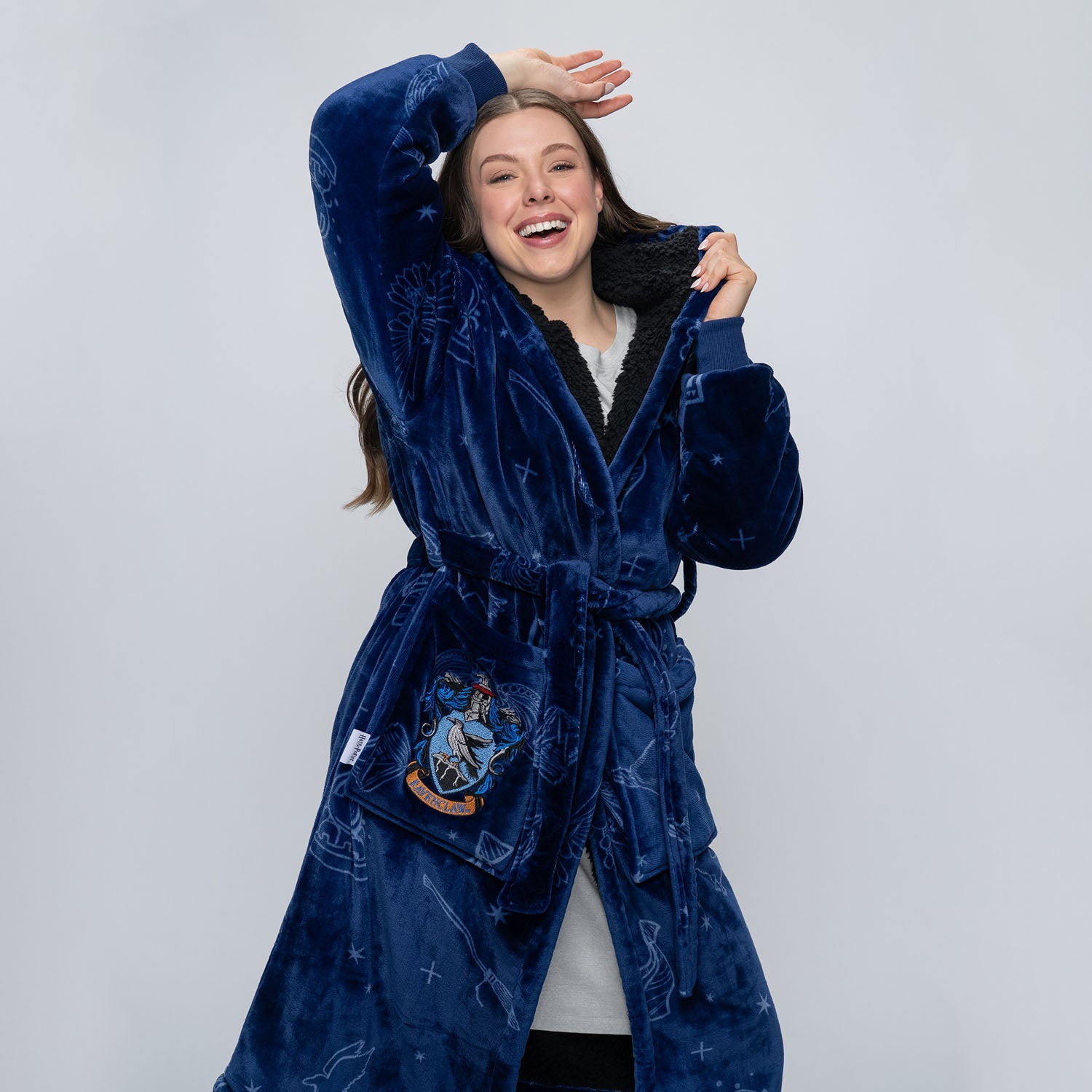 Harry Potter Ravenclaw