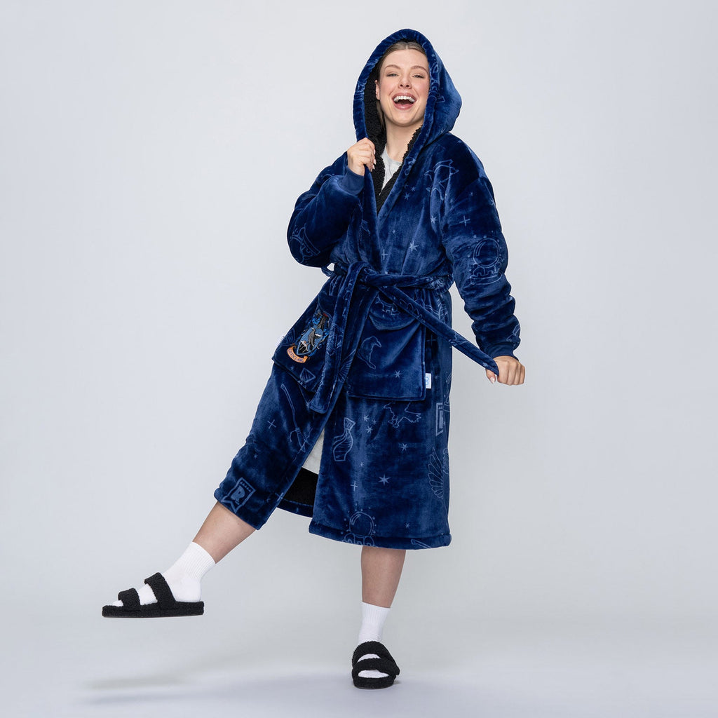 Harry Potter Ravenclaw