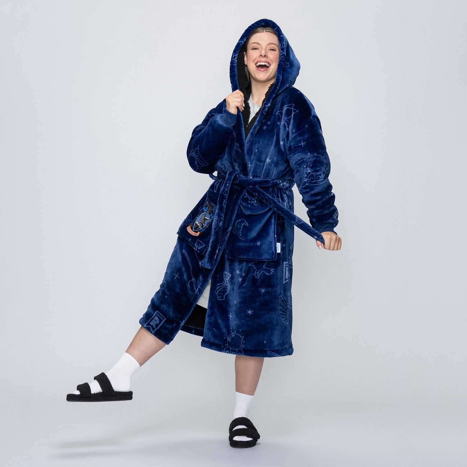 Harry Potter Ravenclaw