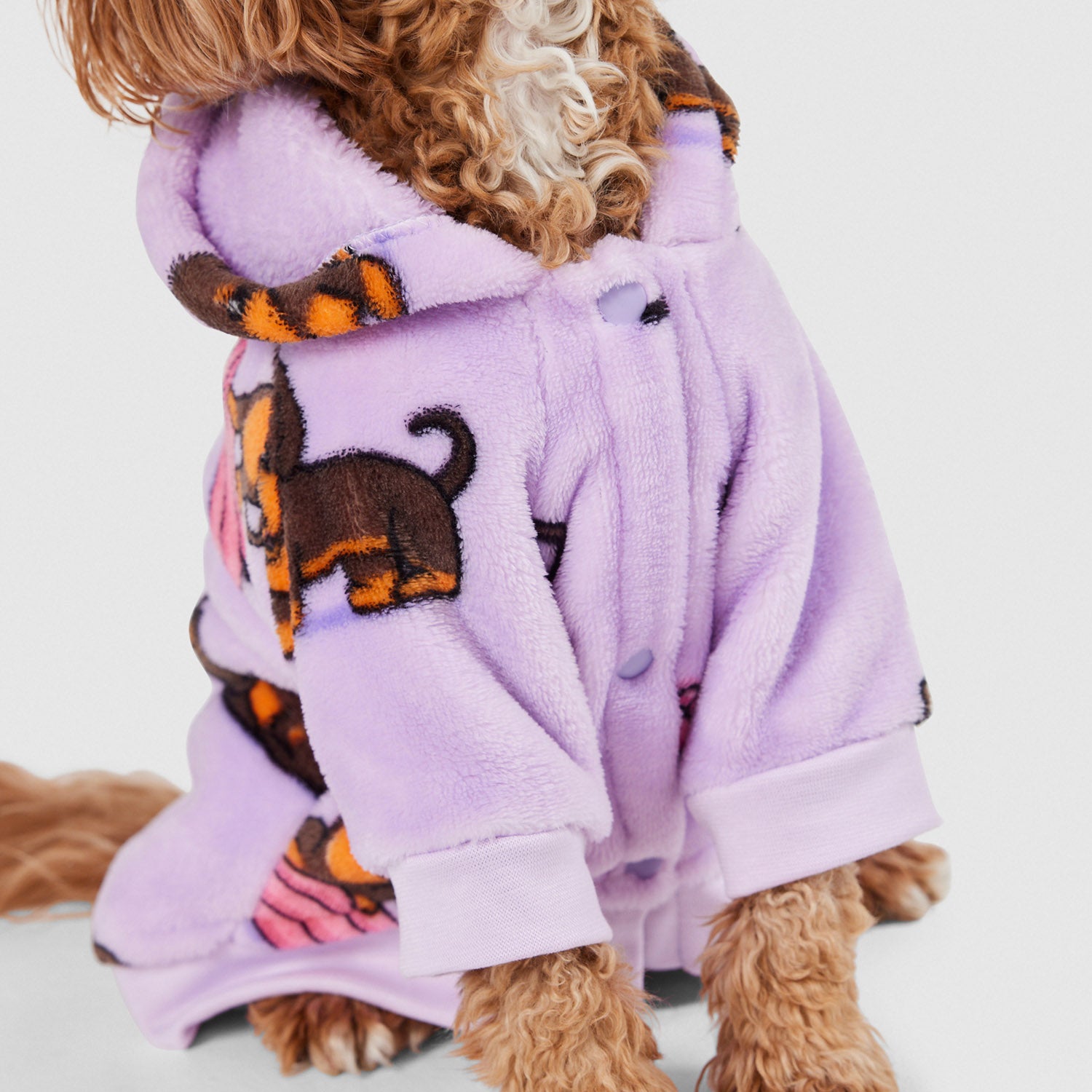 Dachshund Secondary image