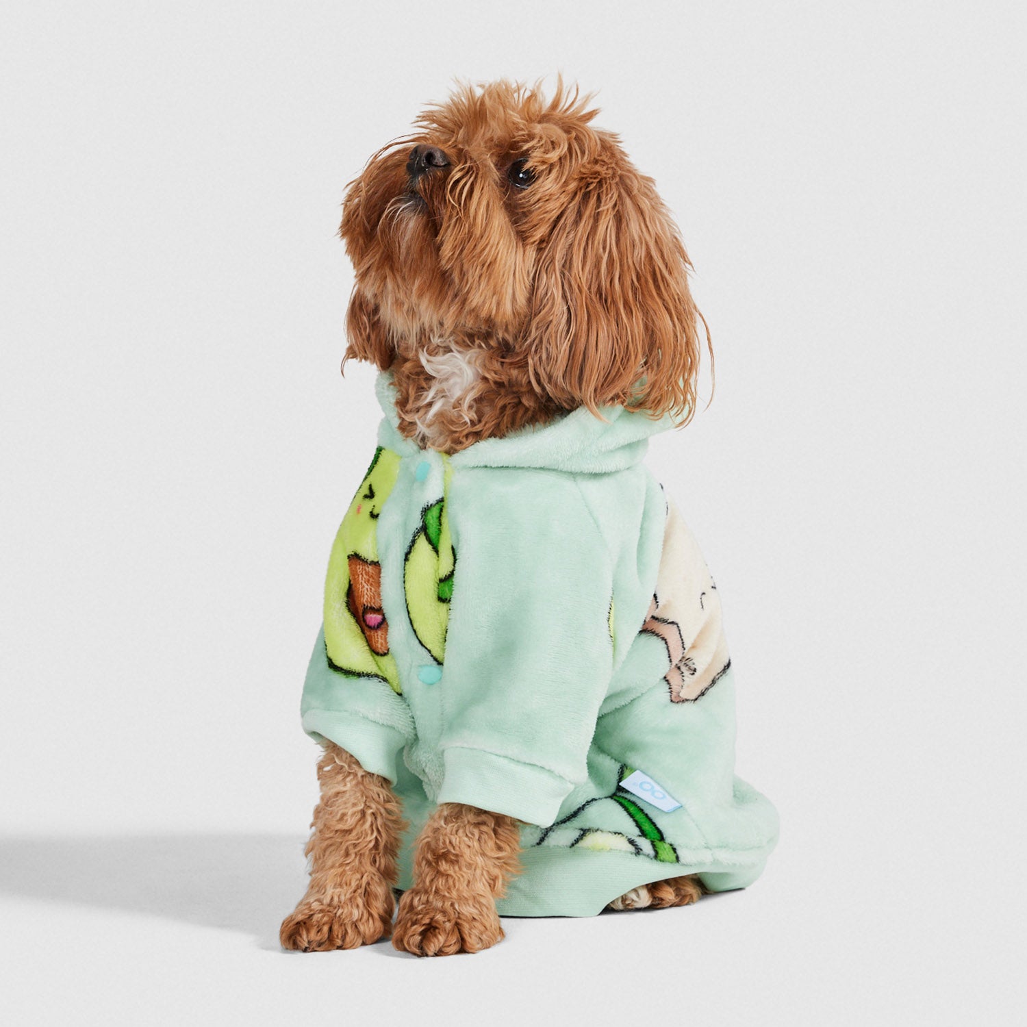 Avocado & Toast Main image