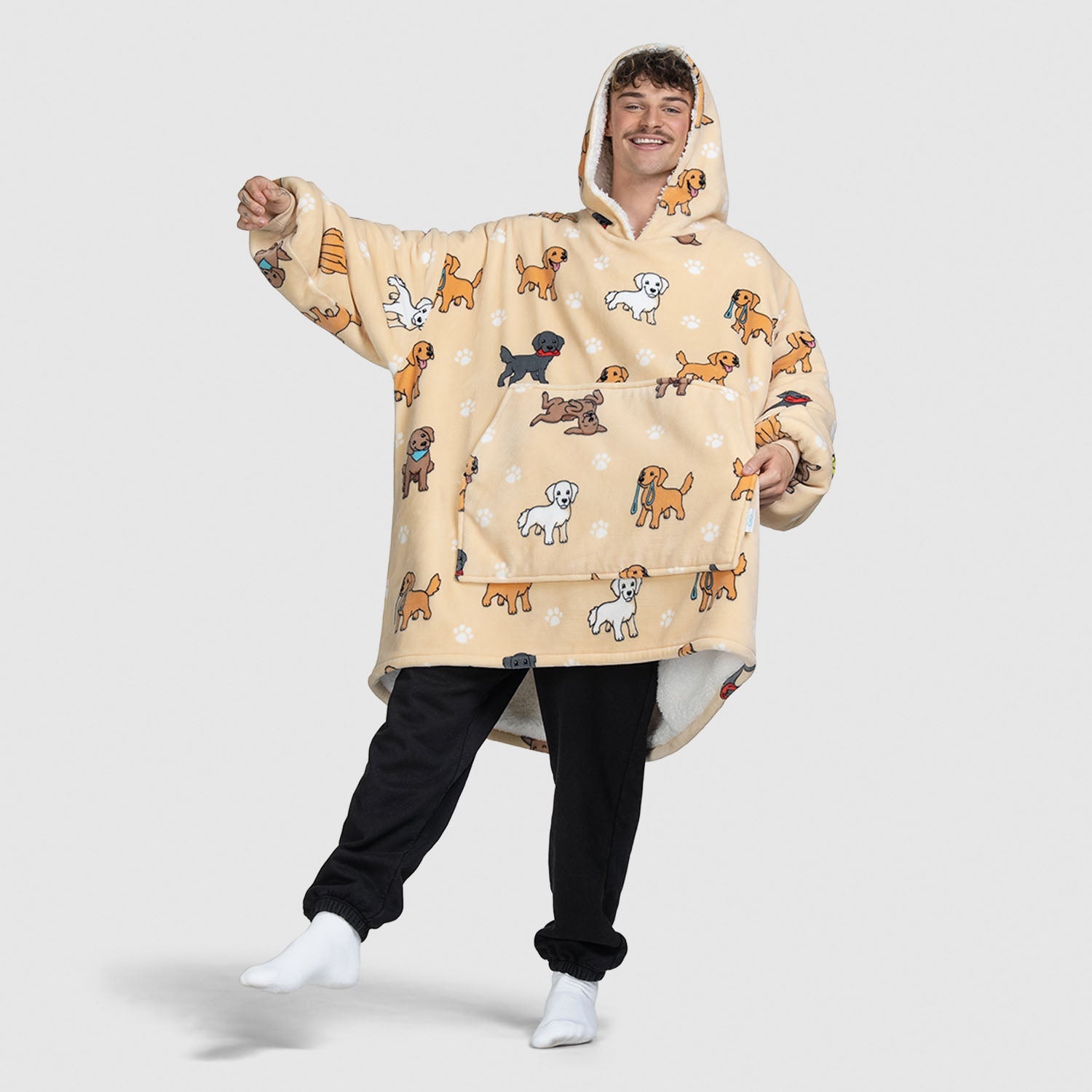 Retriever Main image